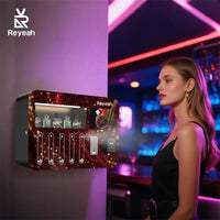 Wall mount with screen-P02 PRO